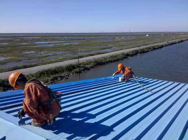 西华彩钢瓦屋面防腐翻新